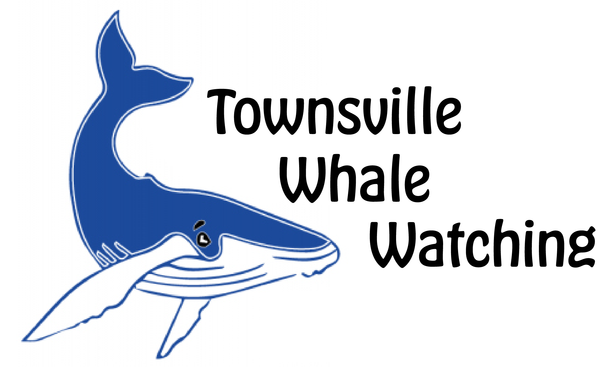 Townsville Whale Watching Tours